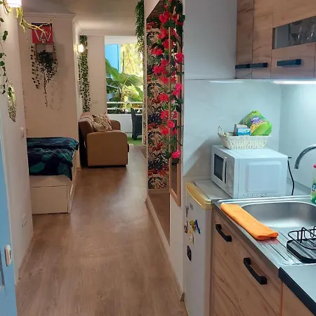 Apartment Tenerife 18 *